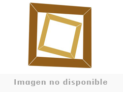 Inicio